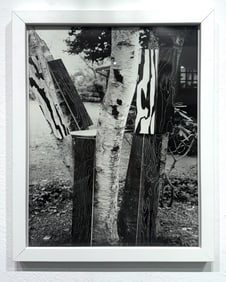 Martin Prekop photograph Tree Construction from Mirror House