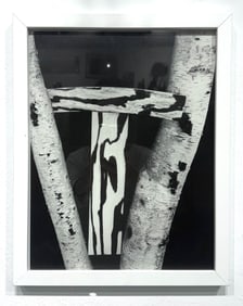 Martin Prekop photograph Tree Construction from Mirror House