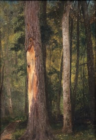 Antique Oil on Canvas of Wooded Landscape