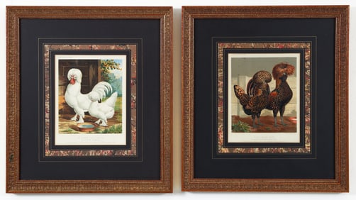 2 framed chromolithographs from Cassel's Poultry circa 1875