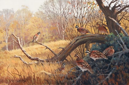 Lee LeBlanc Oil on Canvas Northern Bobwhite Quail