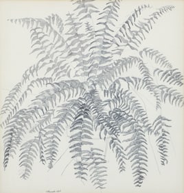 Harry Schwalb 1968 pencil drawing Mr Skinner's Boston Fern