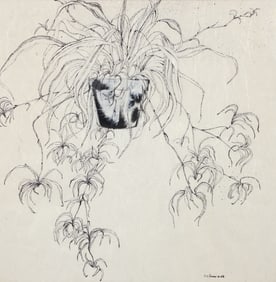 Harry Schwalb ink drawing on Japanese paper Hanging Plant