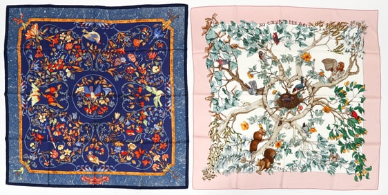 2 Hermes Silk Scarves by Zoe Pauwels
