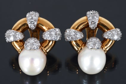 David Webb 18k and Platinum Diamond Earrings