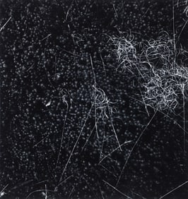 Harry Callahan 1961 gelatin silver print Rhode Island