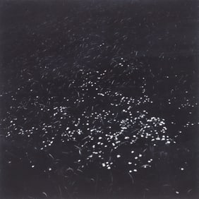 Kenneth Josephson 1967 vintage photograph Illinois