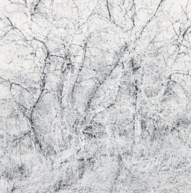 Ray Metzker 1987 photograph from the Earthly Delights series