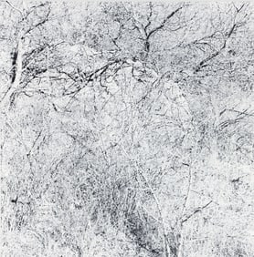 Ray Metzker 1987 photograph from the Earthly Delights series