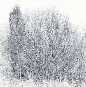 Ray Metzker 1987 photograph from the Earthly Delights series