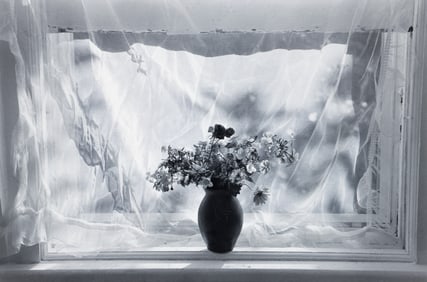 Lilo Raymond 1998 photograph Flowers and Curtain