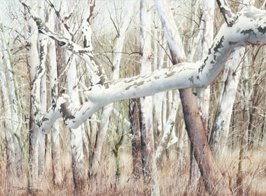 Charles Pitcher watercolor Another Look