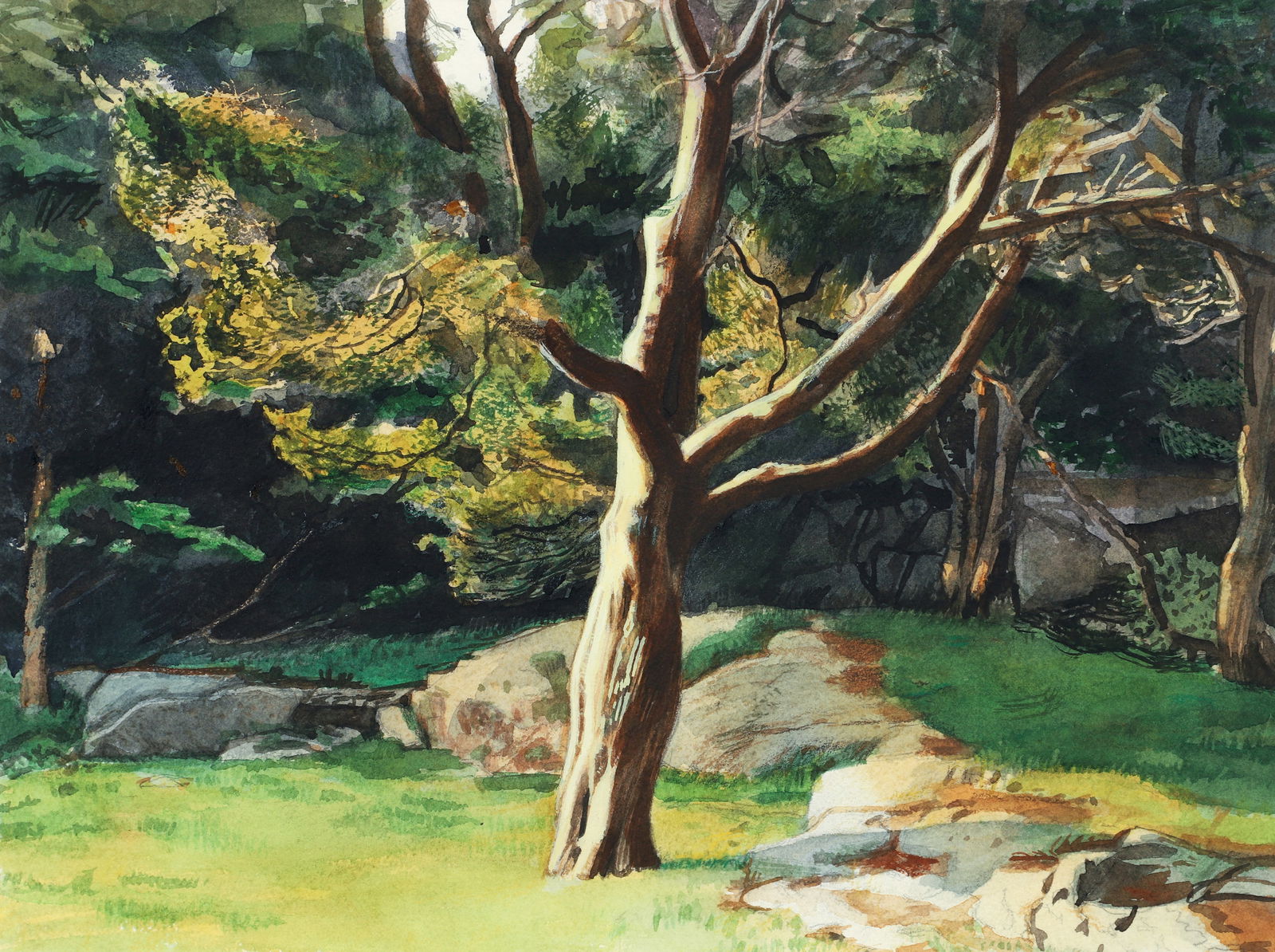 Jim Nelson 2001 watercolor Juniper Tree Late Afternoon: Nelson, James P. (Jim) (American, born 1949), Juniper Tree Late Afternoon, 2001, watercolor on paper, 12 x 15.5 inches, Provenance: acquired from the artist, framed measuring 18 x 22 inches.