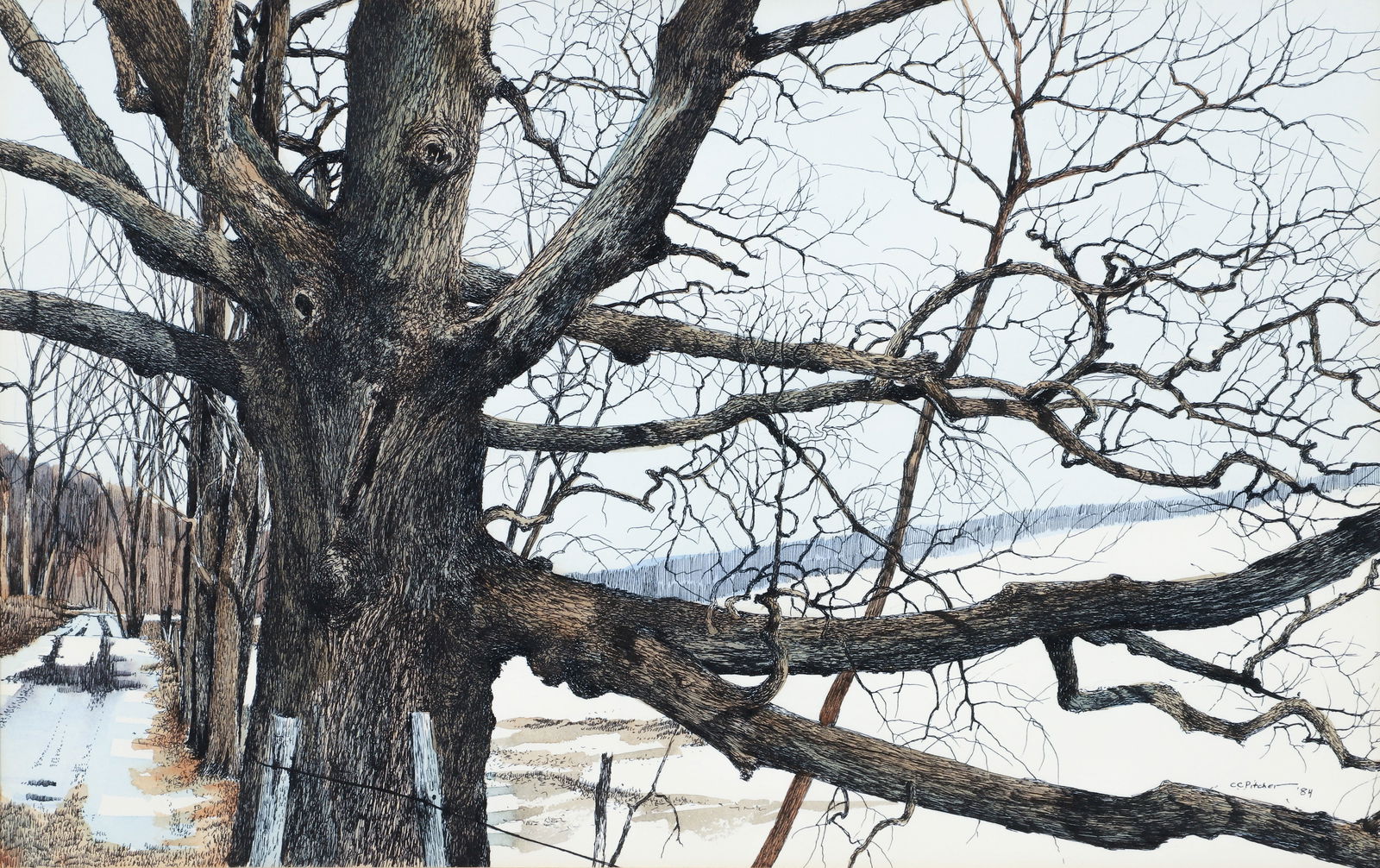 Charles Pitcher ink and wash drawing Winter Oak: Pitcher, Charles (Charlie) (American, 1927-2009), Winter Oak, 1984, (P-689), ink and wash drawing on museum board, 11.5 x 18 inches, signed and dated lower right, framed measuring 18 x 24 inches, Prov