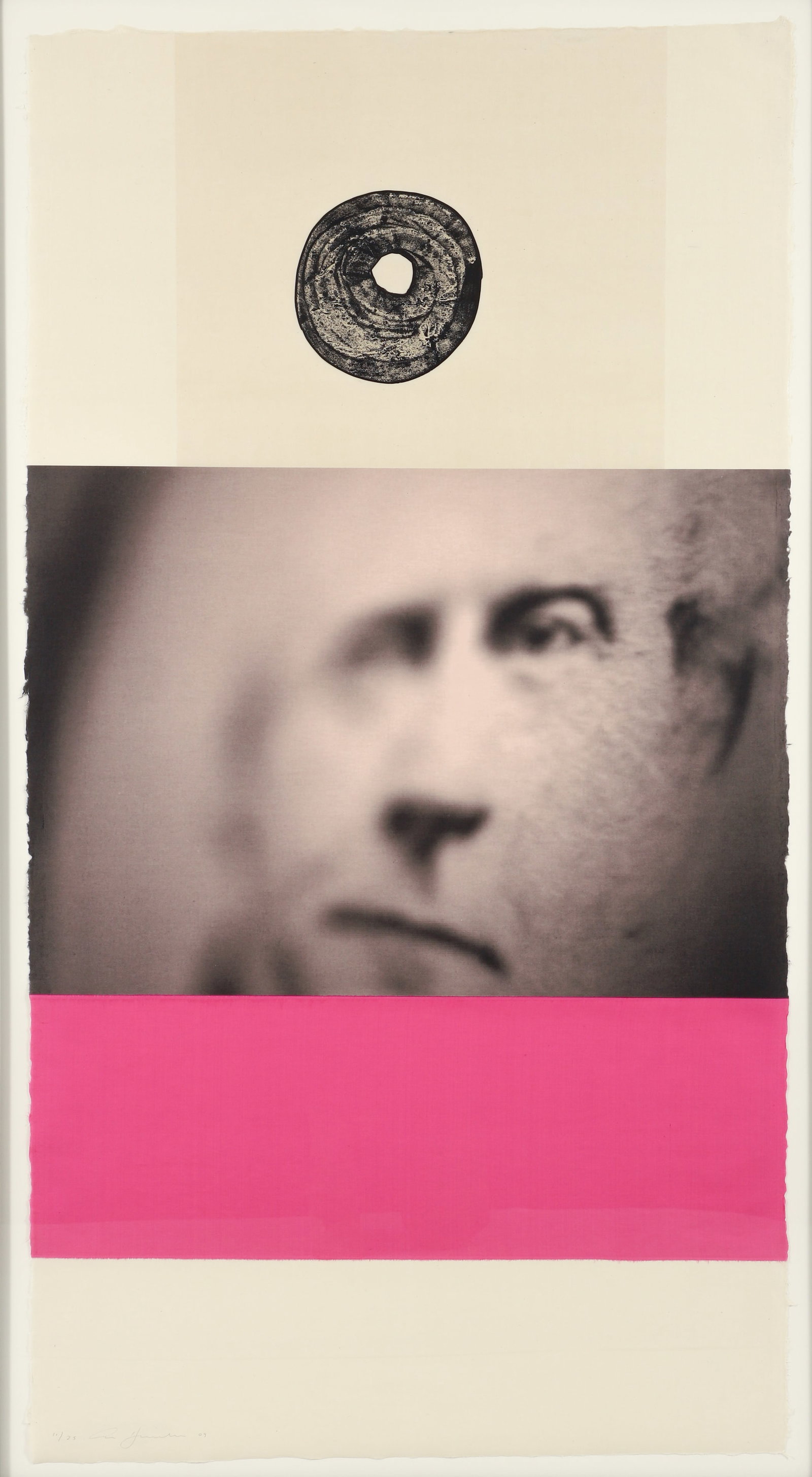 Ann Hamilton Visite I Mixed Media Print With Collage 2009: Hamilton, Ann (American, contemporary), Visite I, 2009, lithographic chine colle on screenprint with collaged fabric, signed, dated and numbered 11/25 in pencil to the lower left corner, 55 x 29.5 inc