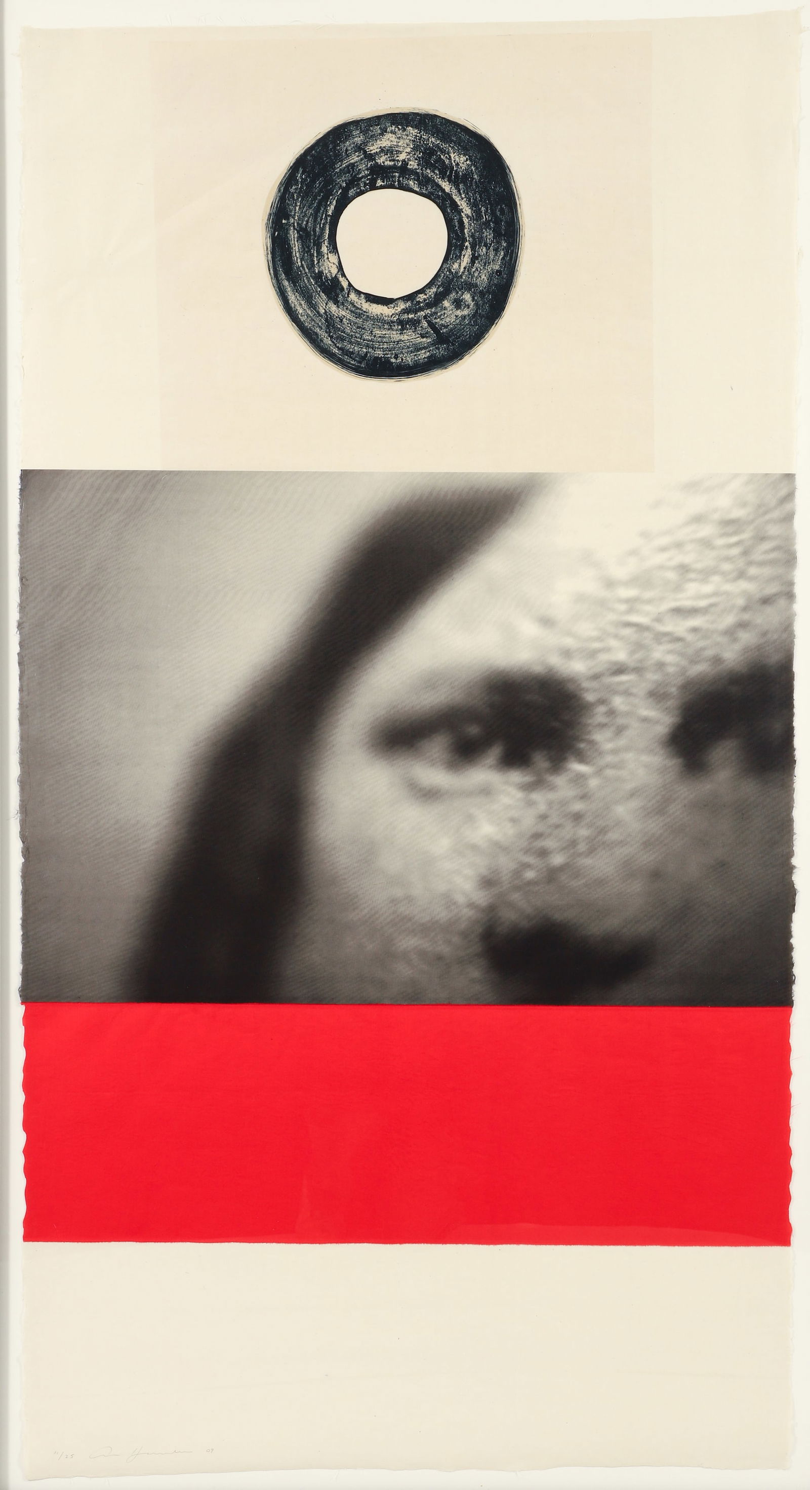 Ann Hamilton Visite VI Mixed Media Print With Collage 2009: Hamilton, Ann (American, contemporary), Visite VI, 2009, lithographic chine colle on screenprint with collaged fabric, signed, dated and numbered 11/25 in pencil to the lower left corner, 55 x 29.5 in