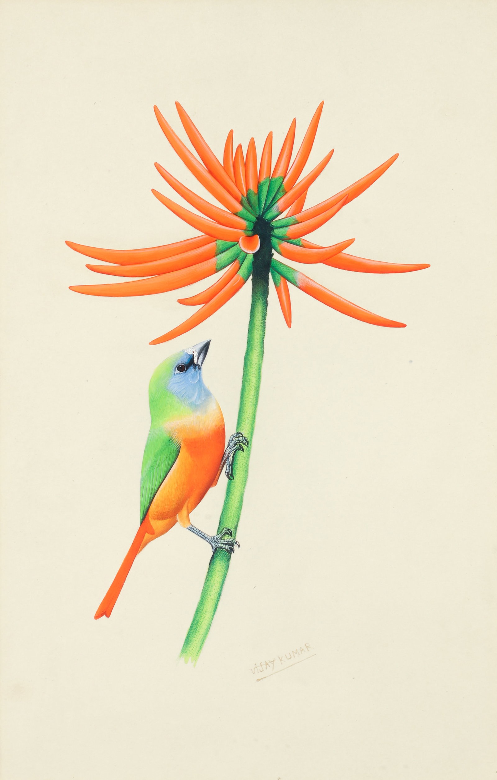 Vijay Kumar Sharma framed gouache Bird and Orange Flower (1 of 3)