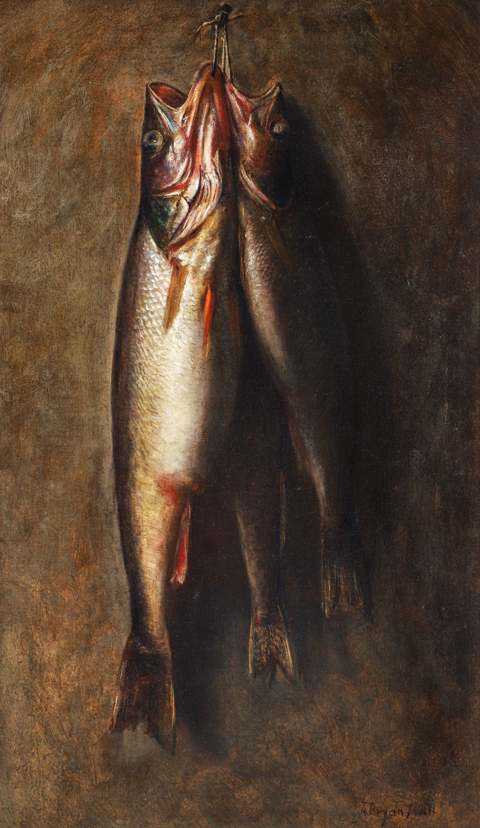 A. Bryan Wall Still Life with Fish Oil on Canvas: Wall, Alfred Bryan (American/Pittsburgh, 1861-1935), Still Life with Three Fish [Freshly Caught Fish], undated, oil on canvas, relined, signed lower right, 25 x 15 inches, framed 31.5 x 21.5 inches. P