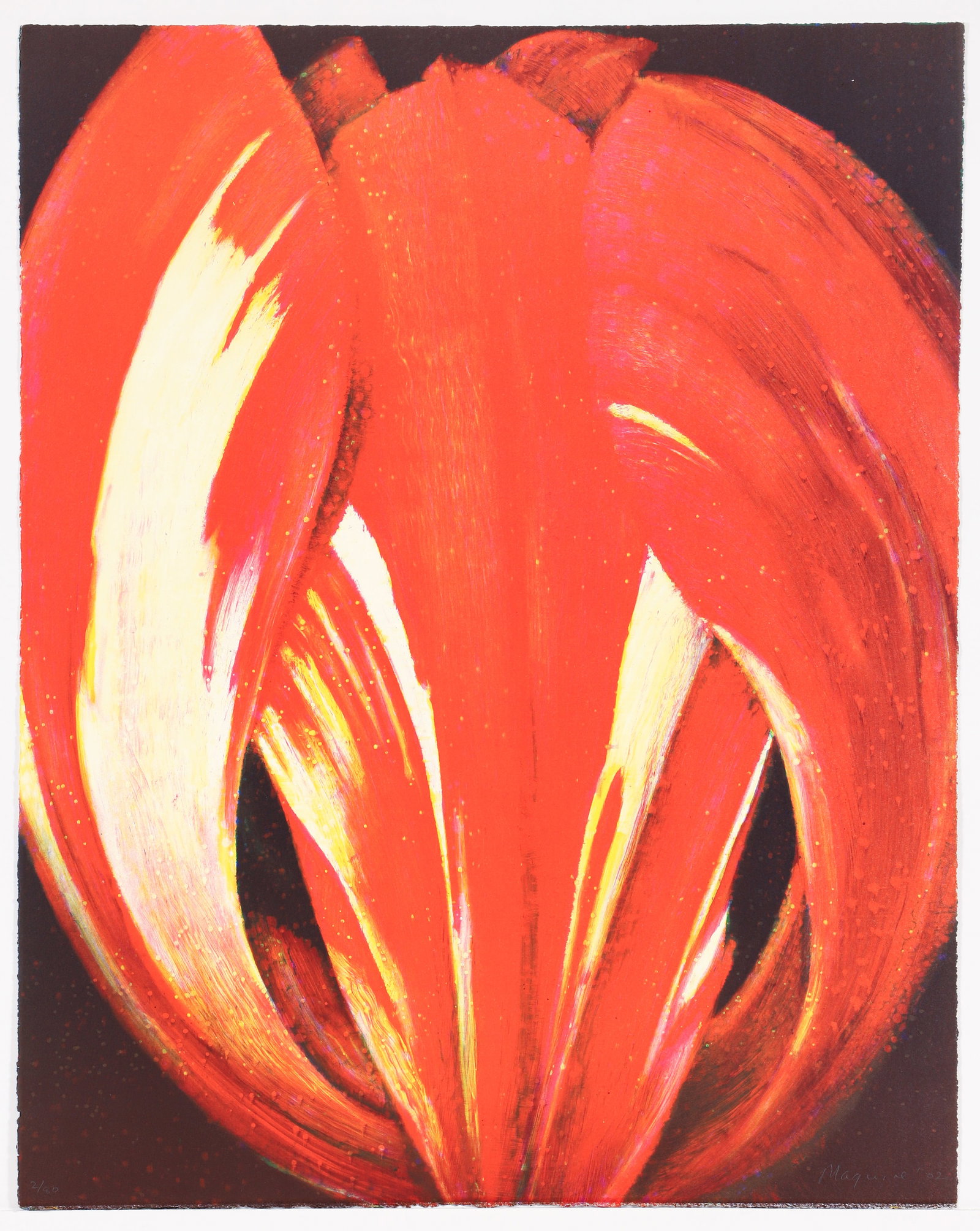 Tim Maguire orig litho Closed Tulip: Maguire, Tim (Australian, born 1958), Closed Tulip, 2002, lithograph printed in colors, 29.5 x 23.5 inches, pencil signed , dated, and numbered 2/80, unframed
