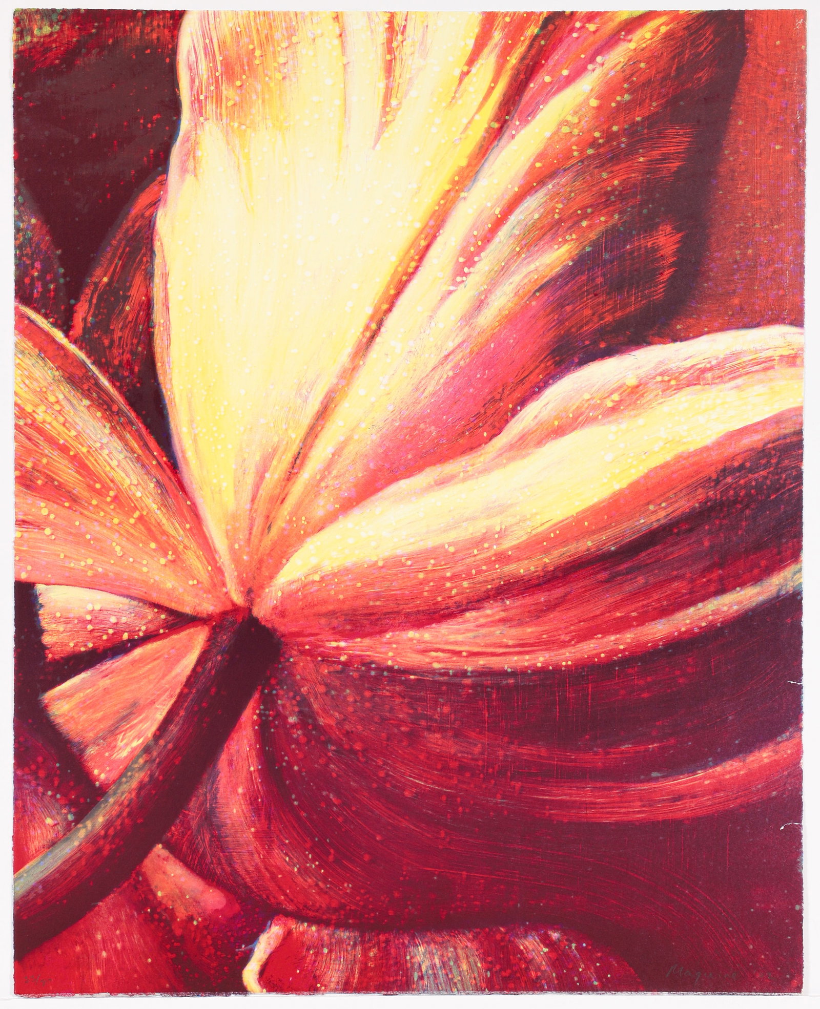 Tim Maguire orig litho Open Tulip 2002: Maguire, Tim (Australian, born 1958), Title: Open Tulip, 2002, lithograph printed in colors, dimensions: 29.5 x 23.5 inches, 33/80, Description: A close focus Flower image in Maguire's signature style