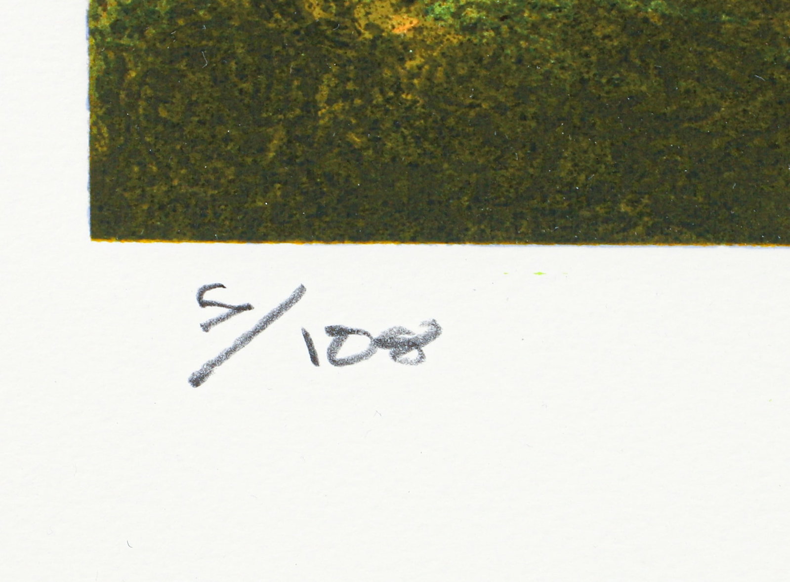 Jamie Wyeth The Gourd Tree Serigraph 2002 - 4