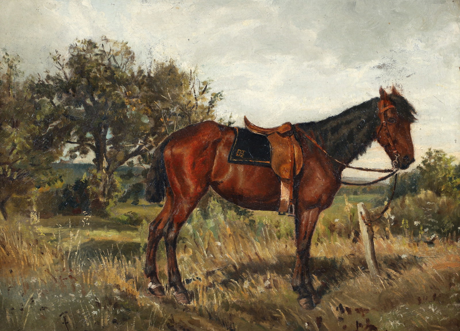 Horse Standing in a Field possibly attributed to Clarence Johns: Johns, possibly attributed to Clarence M. (American/Western PA, 1843-1925), Horse in a Field, oil on board, 15 x 20.5 inches, framed measuring 18 x 23.5 inches, Provenance: The personal collection of 