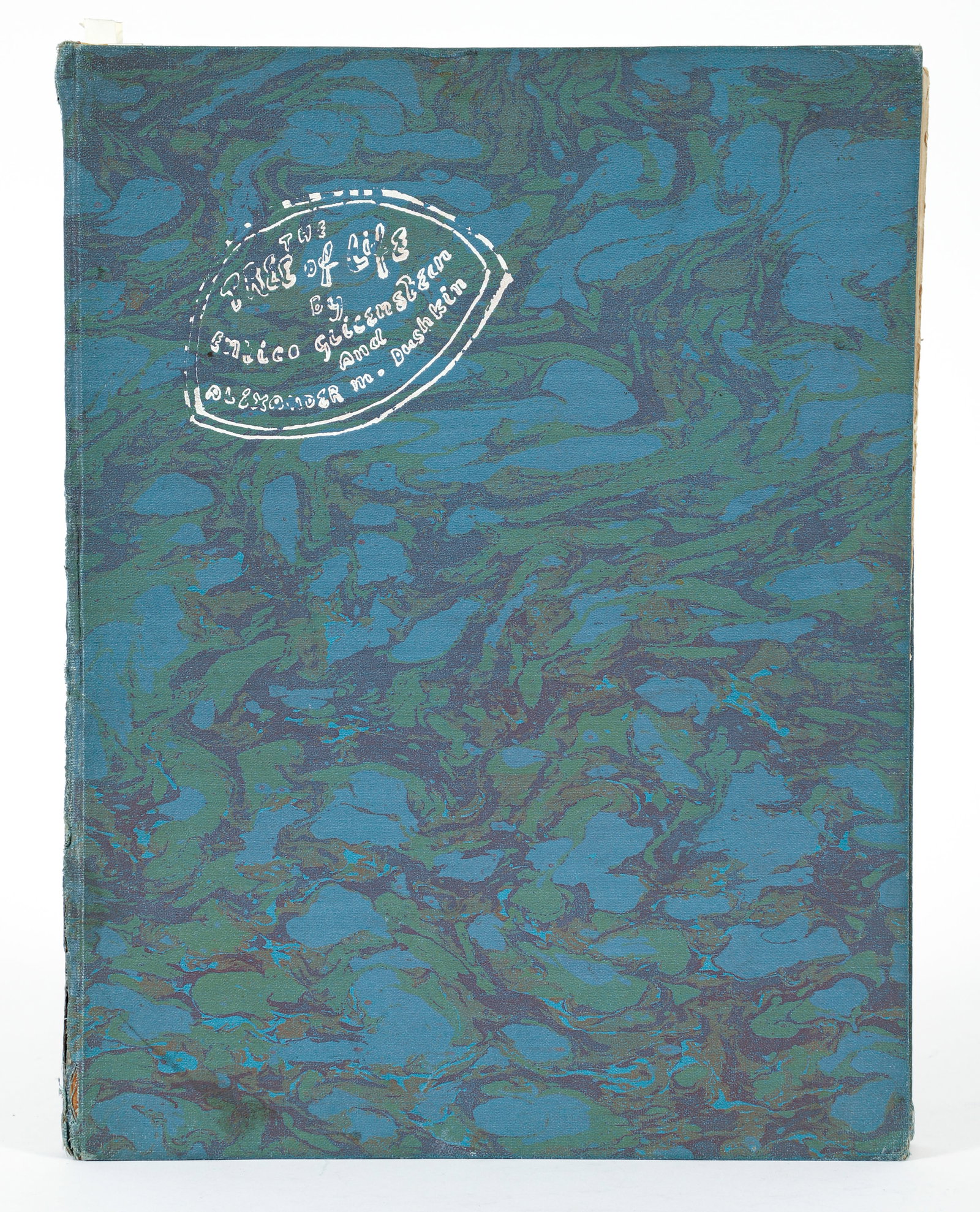 Enrico Glicenstein Extra Illustrated Tree of Life Book (1 of 4)