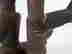 item-20872890=7