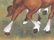 Traditional Chinese Painting "Two Horses" with gold - 4