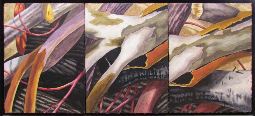 Catherine Kernan "Eucalyptus #5" oil on paper triptych: Artist: Kernan, Catherine (American, born 1948) Title: Eucalyptus #5 Date: 1989 Medium: oil on paper triptych Dimension: 30.5 x 67.5 inches Provenance: Randall Beck Gallery, Boston Ma.