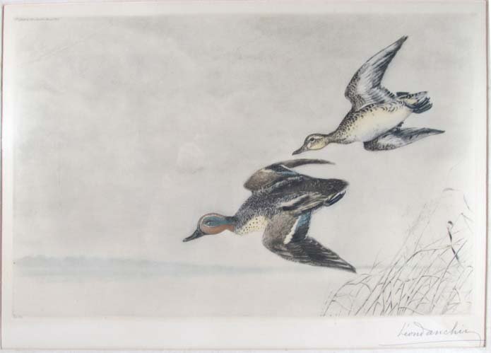 Leon Danchin color etching "Flying Ducks": Artist: Danchin, Leon (French, 1887-1939) Title: Drake and Hen Mallard Medium: color etching Dimensions: 14 x 22 inches Edition: 198/500 Signature: pencil signed Provenance: