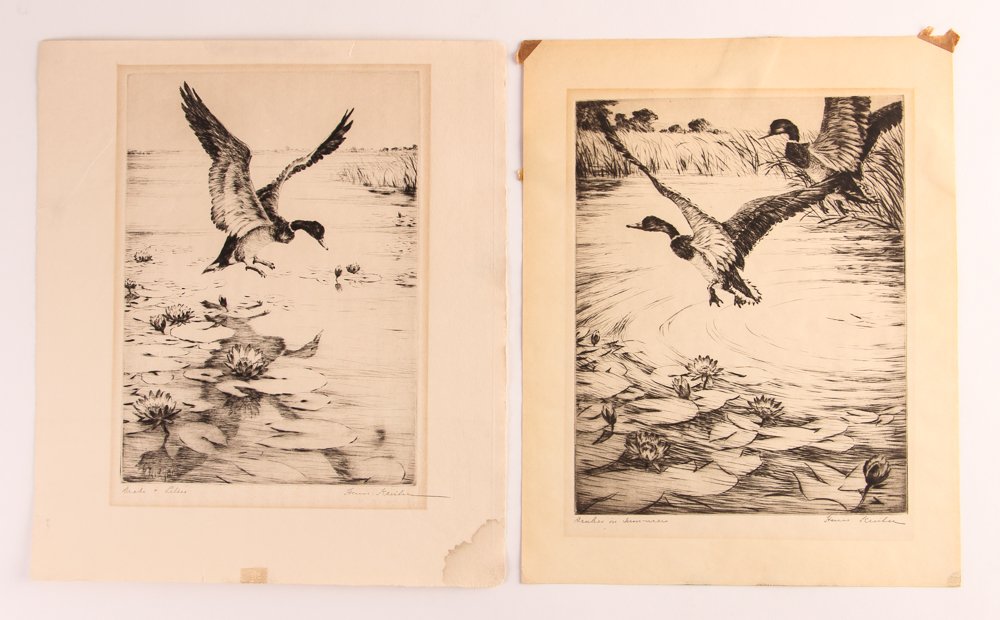 2 Hans Kleiber Etchings of Drakes: Artist: Kleiber, Hans Title: Drakes in Summer; Drake and Lilies Medium: etchings Dimension: 9 x 6.5 inches Signature: pencil signed