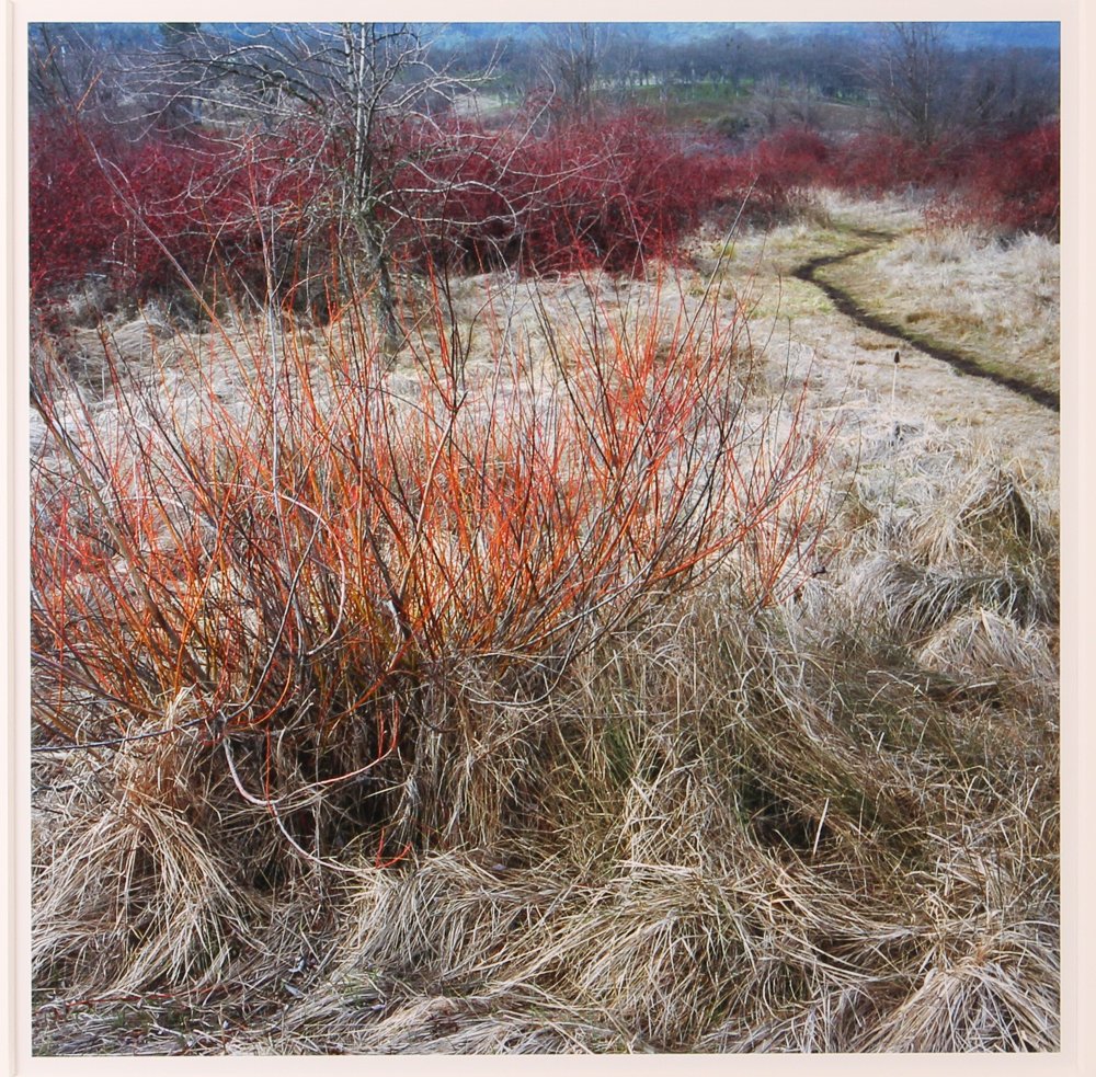 Jeff Krolick 2005 color photo "Emigrant Lake": Artist: Krolick, Jeff (American, b. 1960) Title: Emigrant Lake Date: 2005 Medium: color photograph Dimensions: 20 x 20 inches Descriptions: Exhibited: Silver Eye Center for Photography, “Emigr