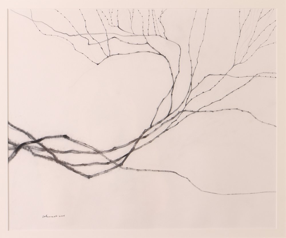 Harry Schwalb drawing "Naked Vine" (1 of 7)