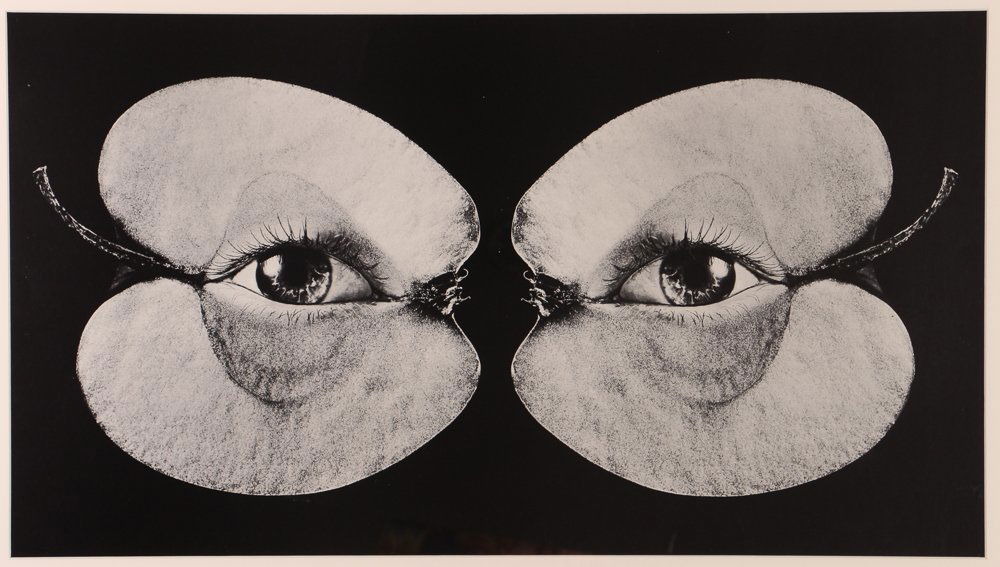 Martin Schwarz "Augapfel" (Eyes) Offset Lithograph (1 of 6)