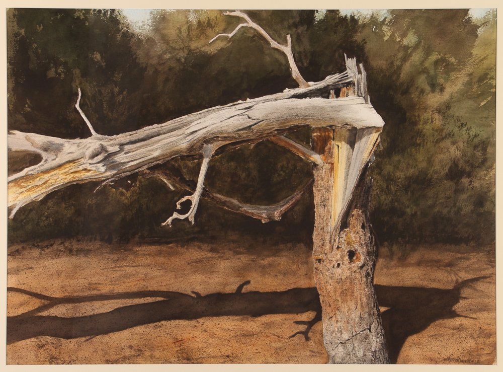 Peter de La Fuente w/c "Halloween Tree" (1 of 6)