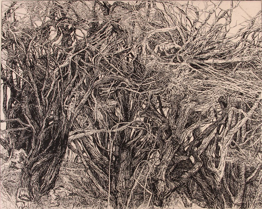 Patricia Forrester 1972 "Won't You Come Into My Parlor" (1 of 6)