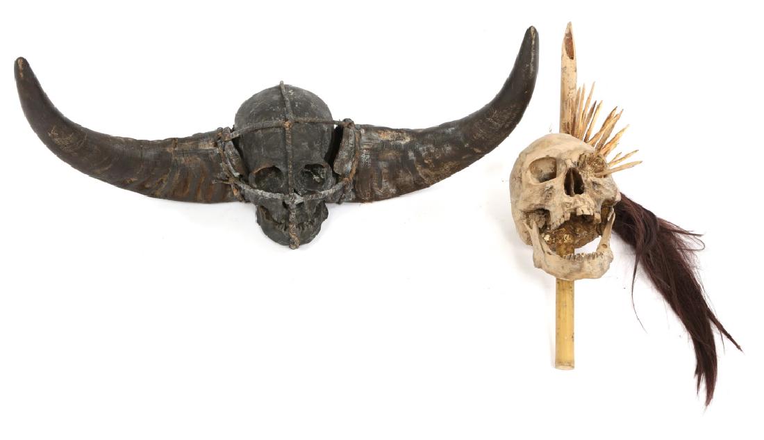 NAGALAND TROPHY SKULL MODEL LOT OF 2: NAGALAND TROPHY SKULL MODEL LOT OF 2 Two resin models of human trophy skulls. One with water buffalo horns and one with bamboo spear piercing the skull. Size: 19"-25"