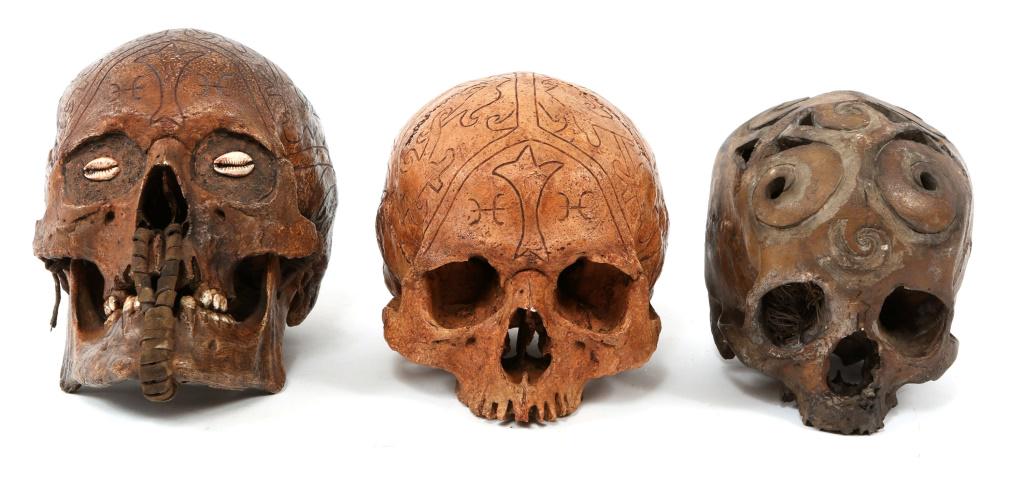 DAYAK CARVED TROPHY SKULL MODEL LOT OF 3: DAYAK CARVED TROPHY SKULL MODEL LOT OF 3 Resin models of carved Dayak trophy skulls. Size: 7" x 8"