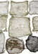 WWII US ARMY M1 COMBAT HELMET CAMO NET LOT OF 10 - 3