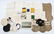 WWII - KOREA US NAVY OFFICER UNIFORM GROUP