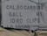 US BANDOLIER & AMMUNITION LOT - 4