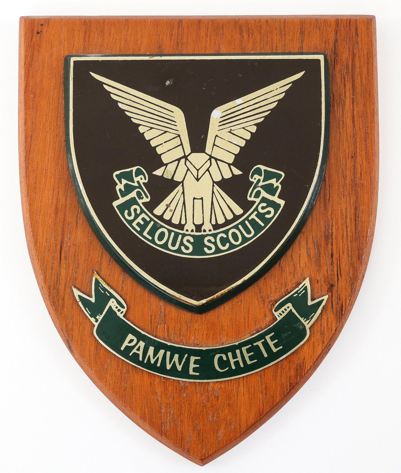 RHODESIAN SELOUS SCOUTS PLAQUE PAMWE CHETE: RHODESIAN SELOUS SCOUTS PLAQUE PAMWE CHETE Rhodesian "Pamwe Chete" Selous Scouts Plaque. Provenance | The Dublin Trust Collection: Personal effects of a U.S. Citizen, who arrived in the United States 