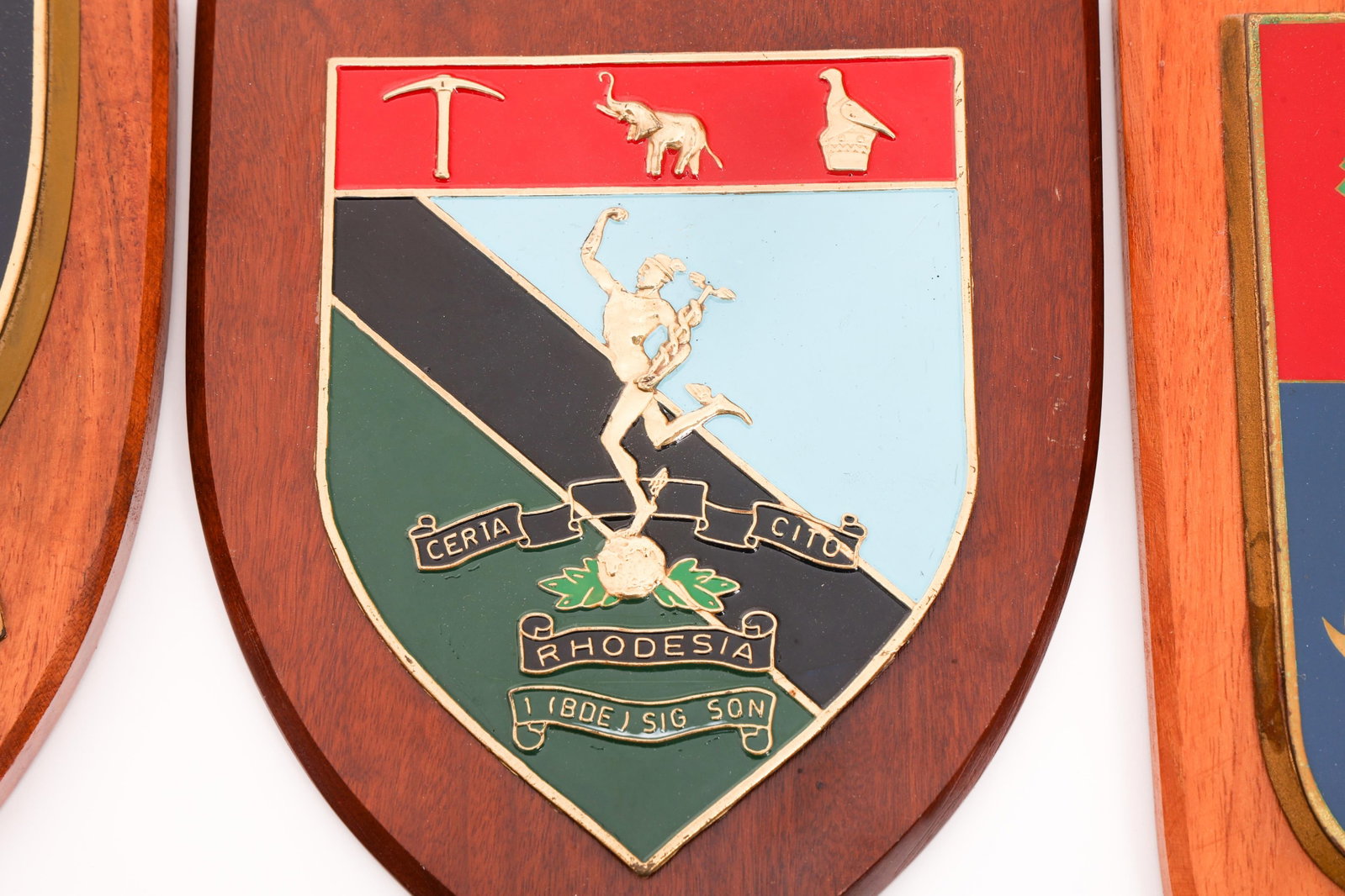 BUSH WAR RHODESIAN UNIT PLAQUES - 10
