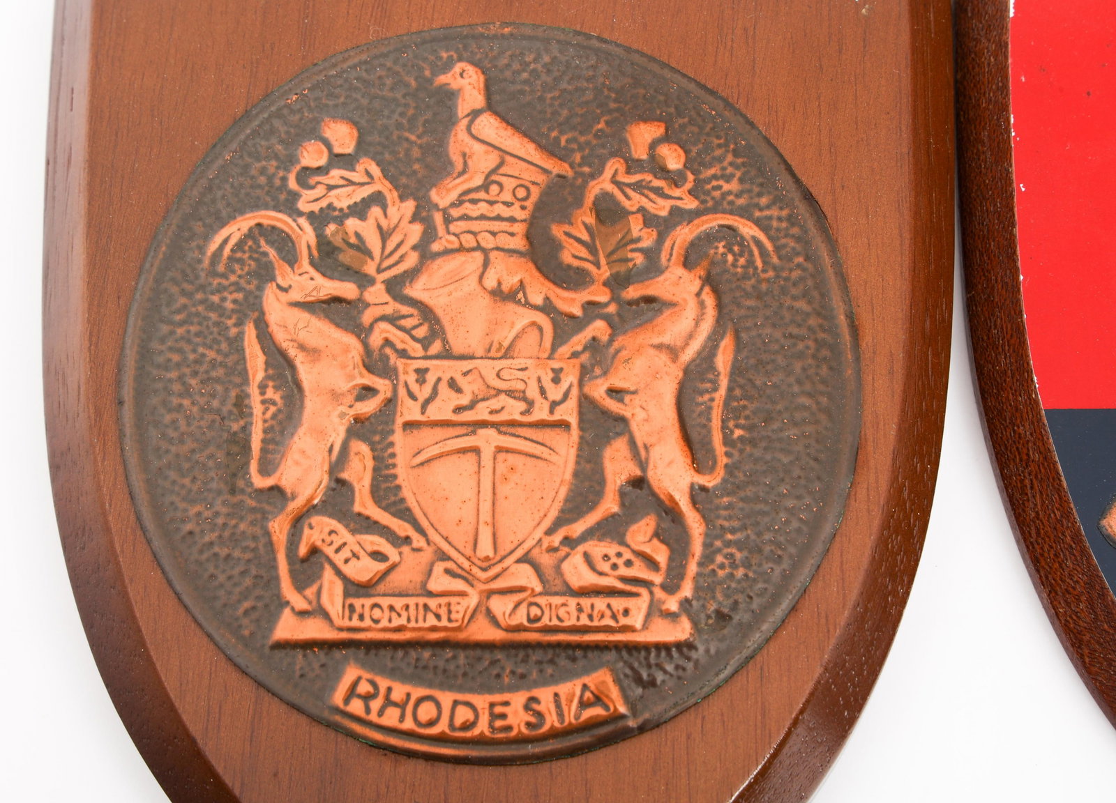 BUSH WAR RHODESIAN UNIT PLAQUES - 6