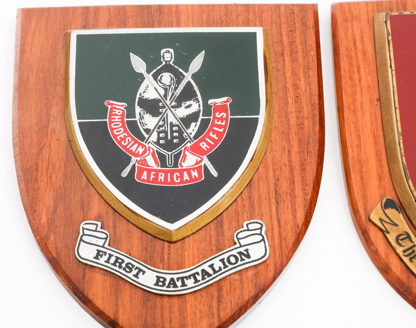BUSH WAR RHODESIAN UNIT PLAQUES - 8