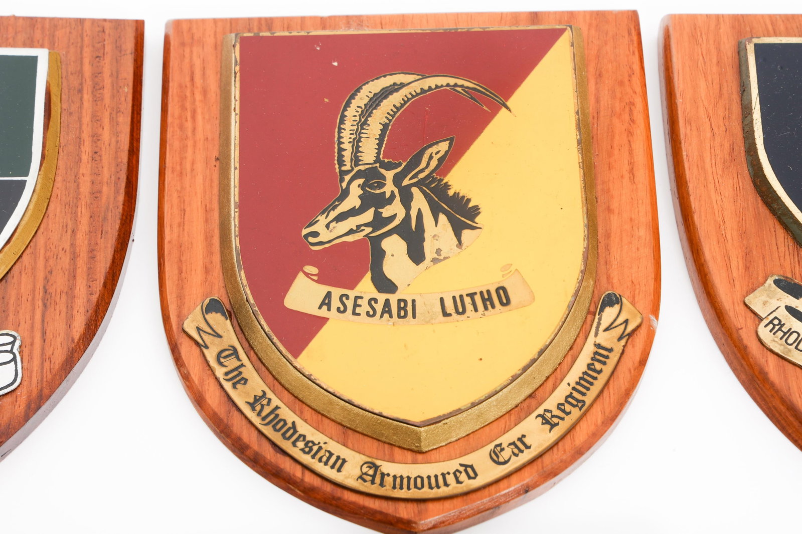 BUSH WAR RHODESIAN UNIT PLAQUES - 9