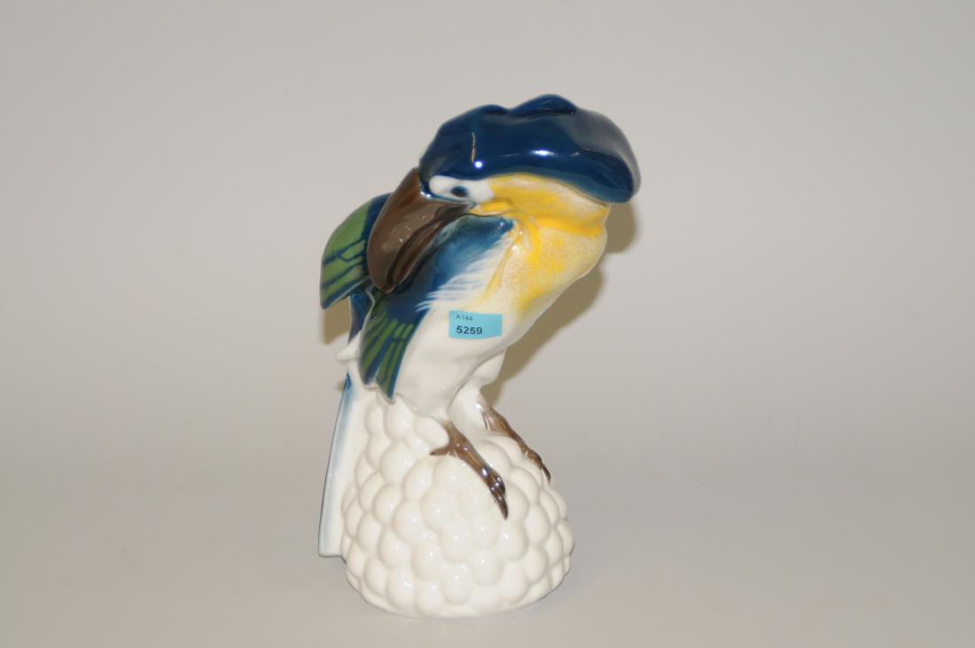 Tierfigur KPM Berlin,1912. Tukan. Entwurf von Julius (1 of 1)