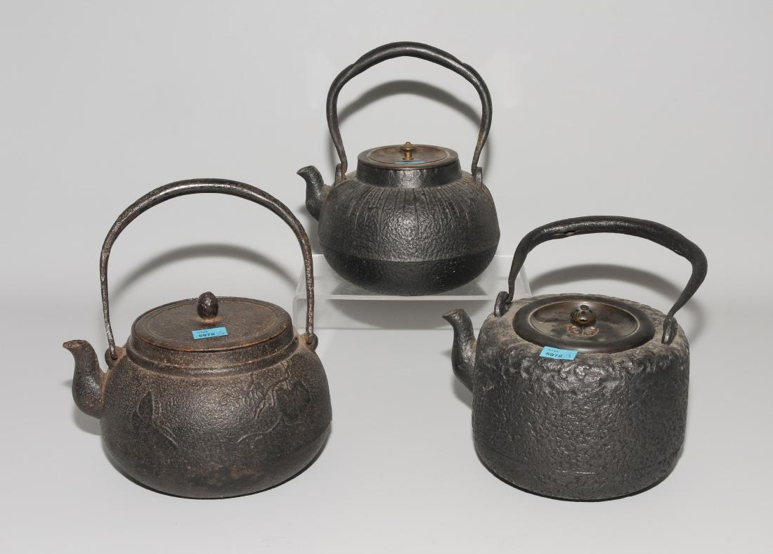 3 Tetsubin Japan, um 1900. Gusseisen. Eine Kanne (1 of 1)