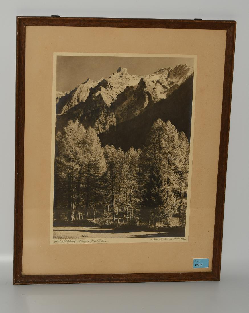 Steiner, Albert (Frutigen 1877–1965 Frutigen): Steiner, Albert (Frutigen 1877–1965 Frutigen) ~qHerbstabend. Bergell. Graubünden~q. Fotografie. Unten rechts signiert und bezeichnet: ~qSt. Moritz~q. Fotogrösse 29,9x22,1 cm. Gerahmt.